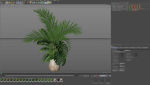 Plants collection 1022