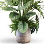 Plants collection 1022
