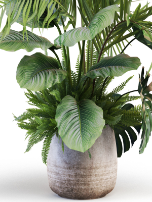 plants-collection-1022-3d-model-60f09a9575