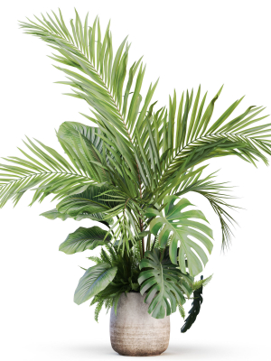 Plants collection 1022