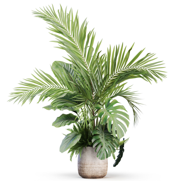Plants collection 1022