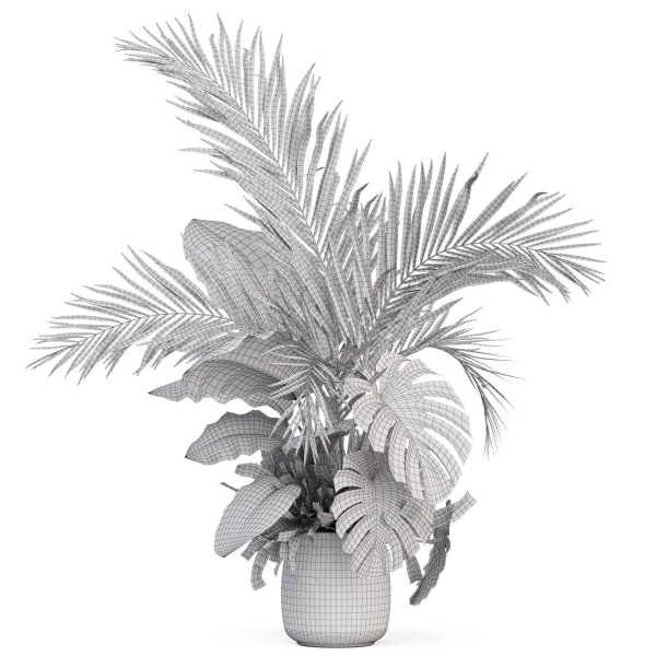 Plants collection 1022