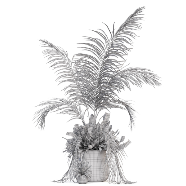 Plants collection 1023