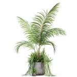 Plants collection 1023