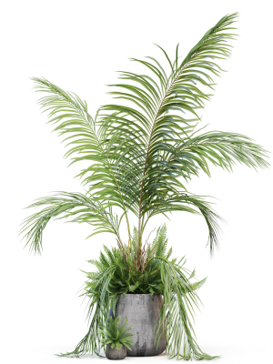 plants-collection-1023-3d-model-176f66afec