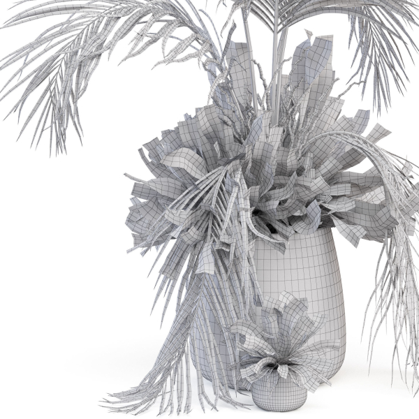 Plants collection 1023