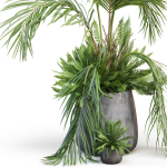 Plants collection 1023