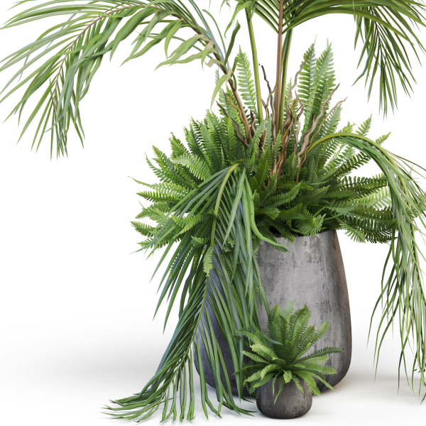 Plants collection 1023