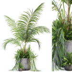 Plants collection 1023