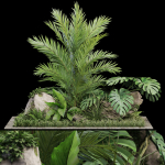 Plants collection 1026