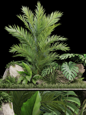 Plants collection 1026