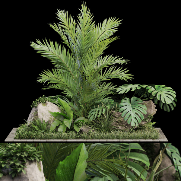Plants collection 1026