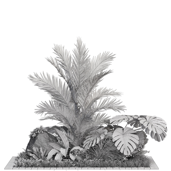 Plants collection 1026