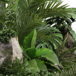 Plants collection 1026