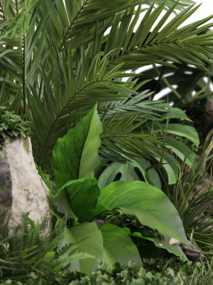 plants-collection-1026-3d-model-9b5fe5e14c