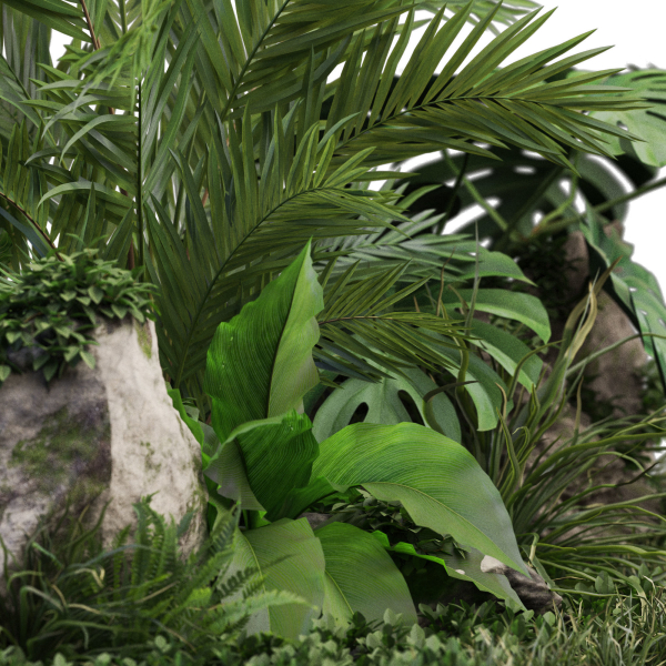 Plants collection 1026