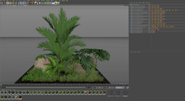 Plants collection 1026