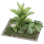 Plants collection 1026
