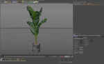 Plants collection 1027