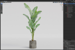 Plants collection 1027
