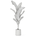 Plants collection 1027