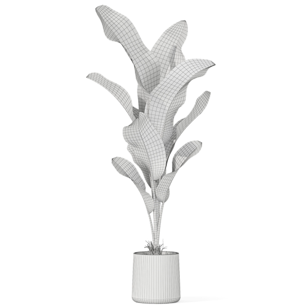 Plants collection 1027