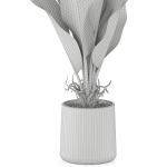 Plants collection 1028
