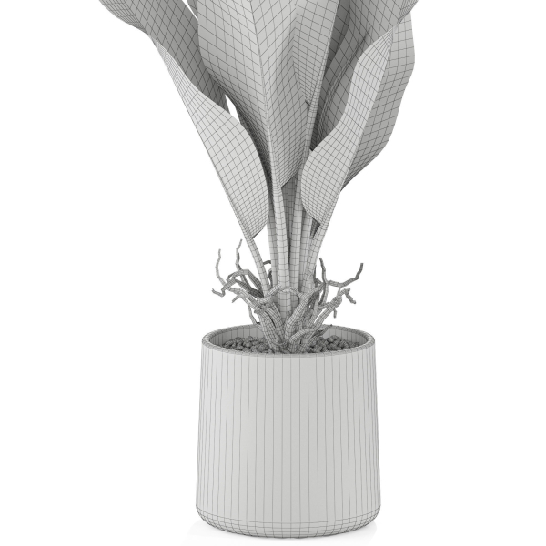 Plants collection 1028