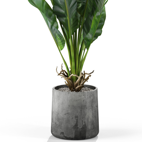 Plants collection 1028
