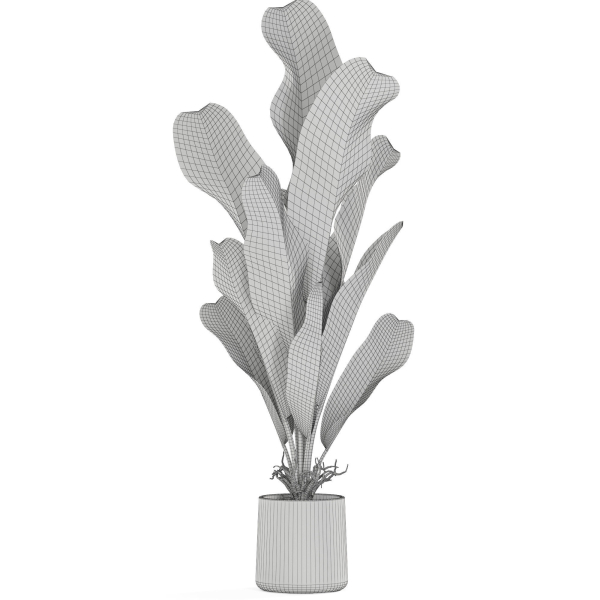 Plants collection 1028