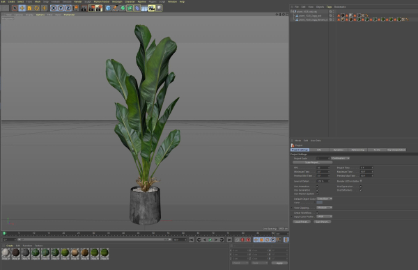Plants collection 1028
