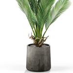 Plants collection 1029