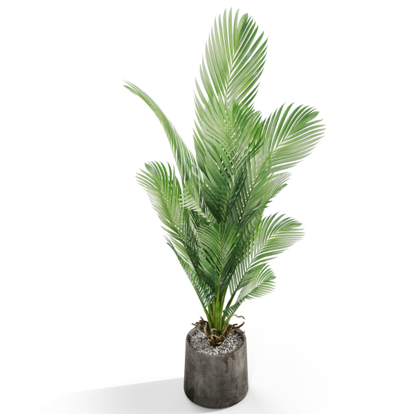 Plants collection 1029