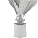 Plants collection 1029