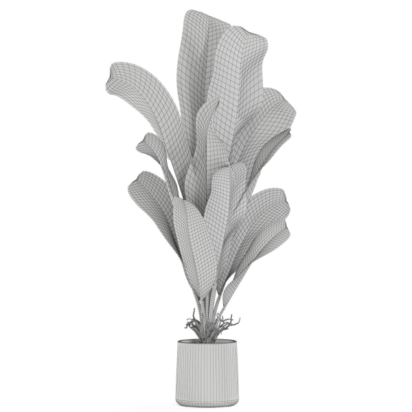 Plants collection 1029