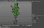 Plants collection 1029