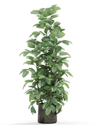plants-collection-1030-3d-model-47ccc420f0