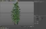 Plants collection 1030