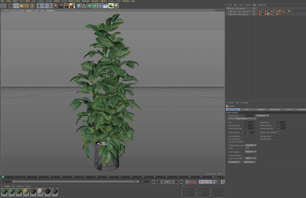 Plants collection 1030