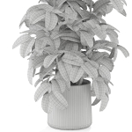 Plants collection 1030