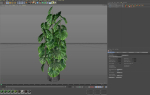 Plants collection 1031