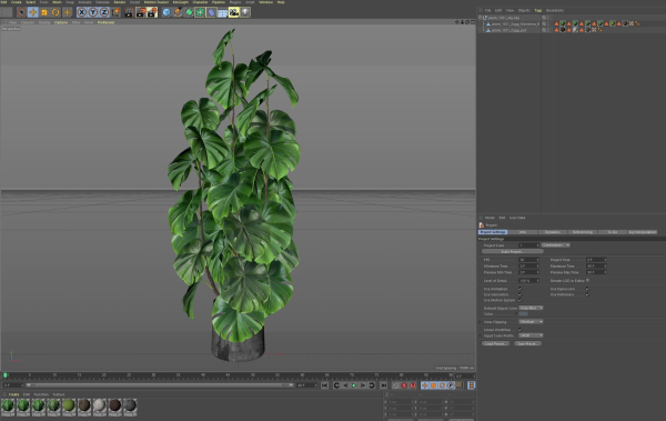 Plants collection 1031