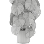 Plants collection 1031