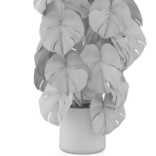 Plants collection 1031