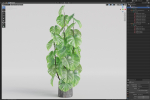 Plants collection 1031