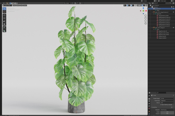 Plants collection 1031