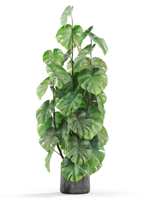 plants-collection-1031-3d-model-e18791ce65