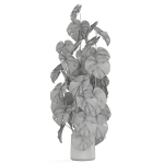Plants collection 1031