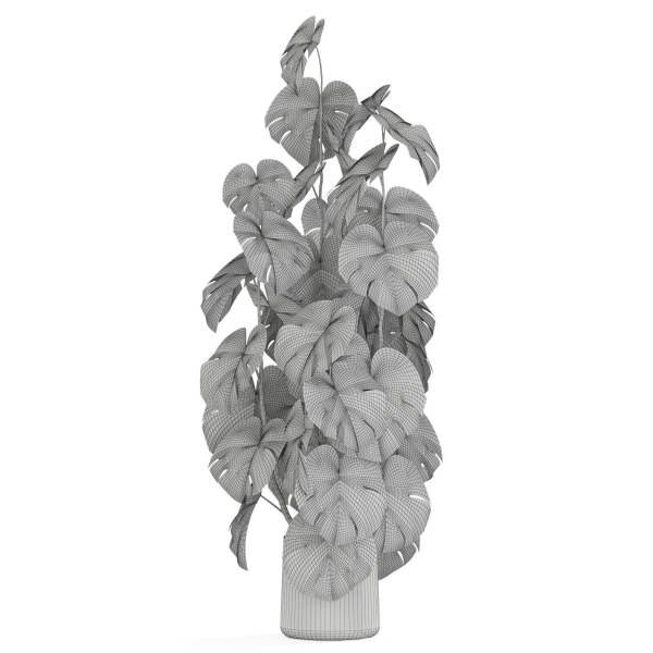 Plants collection 1031