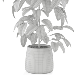 Plants collection 1032